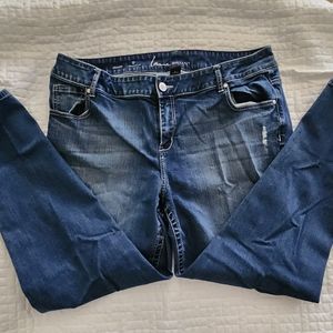 Lane Bryant Skinny Jeans